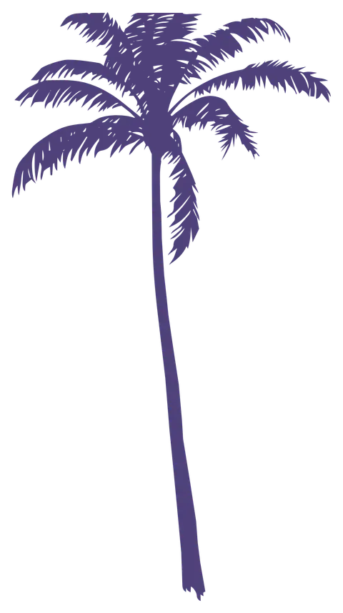 An Extended Look Banner Palm Tree Aug 6 2026