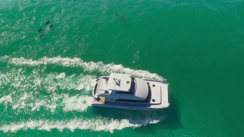 GTA VI Trailer 1 - Frame 339